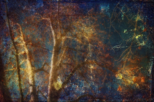 Autumn Autumn